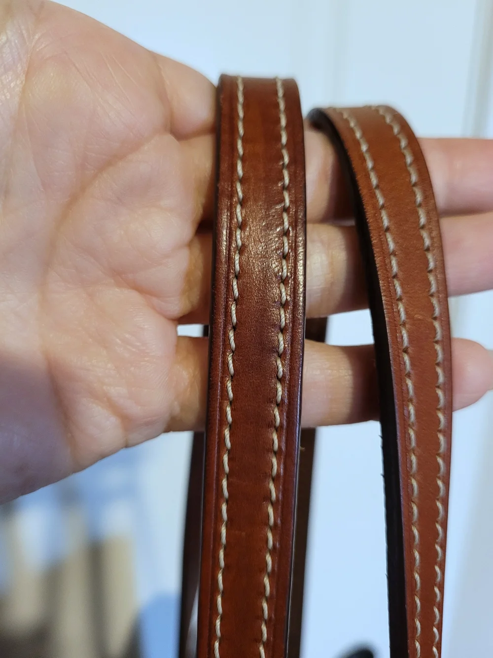 Dooney & Bourke Small Lexington